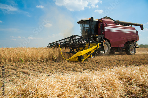 Combine harvesters in a field of wheat