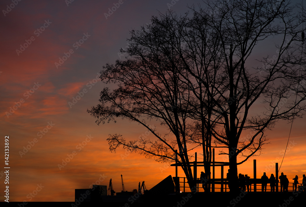 Naklejka premium Sonnenuntergang im Hafen