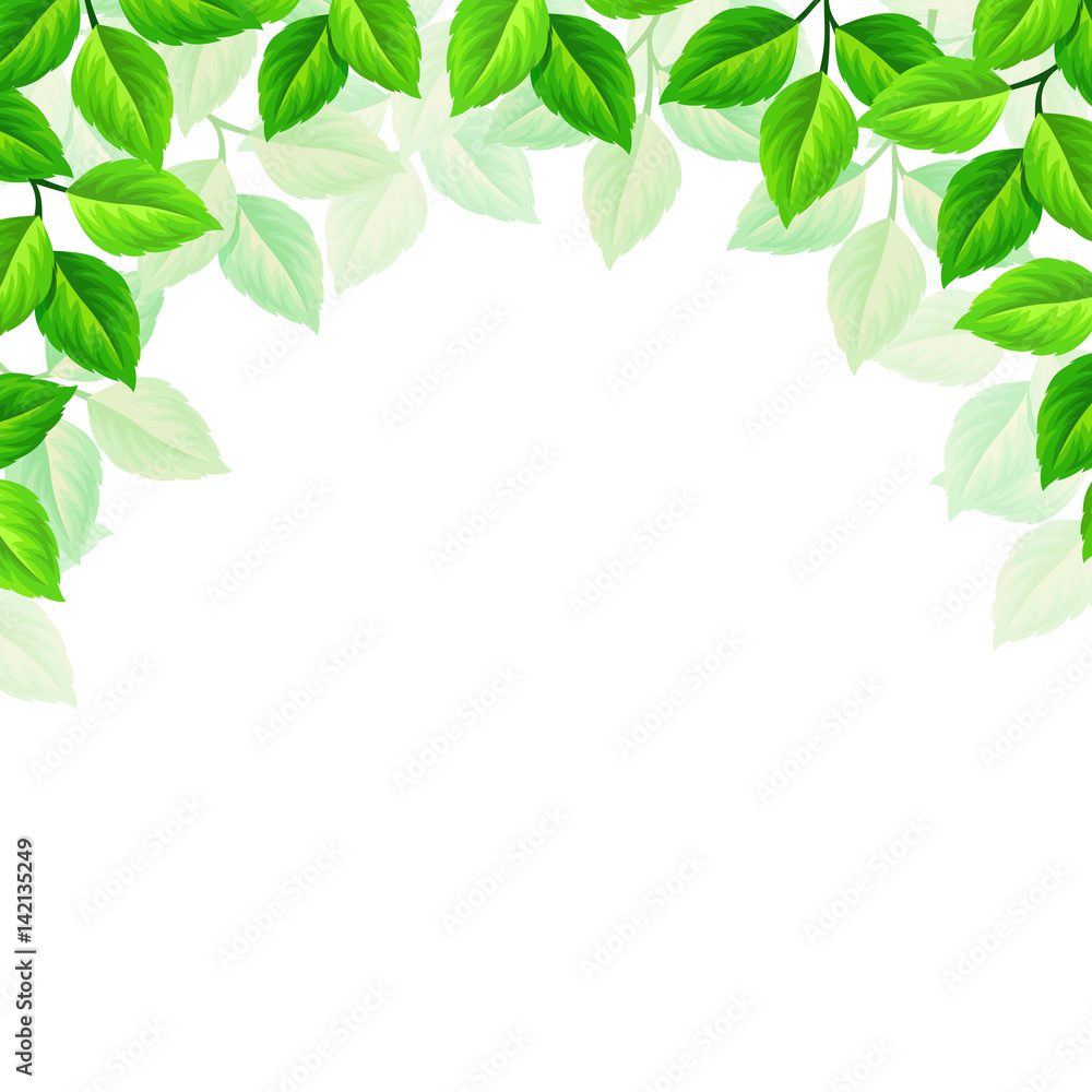 Vector background with green leaves. Vector background with green leaves.