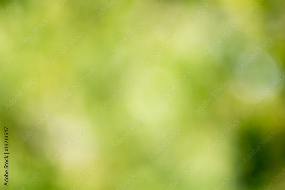 light green bokeh background light green bokeh background
