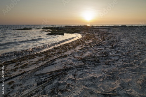 Tramonto in spiaggia con alghe e vecchi giunchi