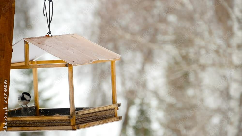Bird feeder in the park