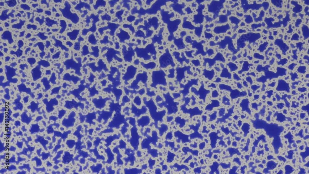 Zoom drops of blue paint on a white background. Zoom drops of blue paint on a white background.
