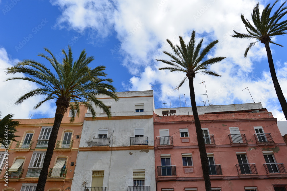 Naklejka premium Altstadt von Cadiz in Andalusien - Spanien