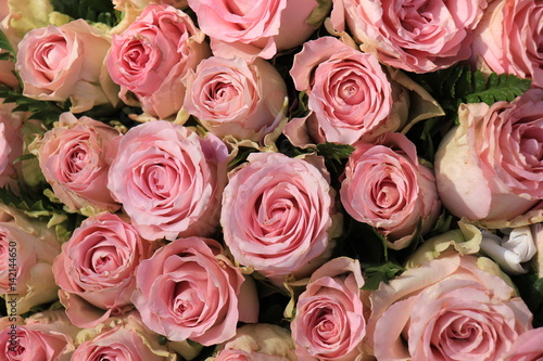 Mixed pink roses © Studio Porto Sabbia