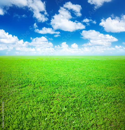 Fototapeta Naklejka Na Ścianę i Meble -  Grass field and blue sky