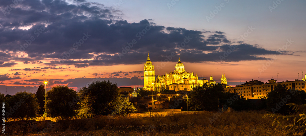 Cathedral in Salamanca