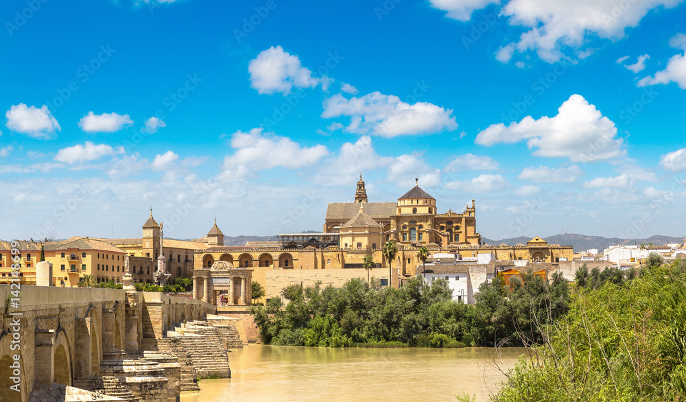 Fototapeta premium Roman Bridge in Cordoba