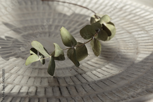 branch of eucalyptus over metal tabletop photo