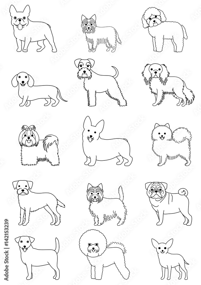 small dog breeds line art set small dog breeds line art set