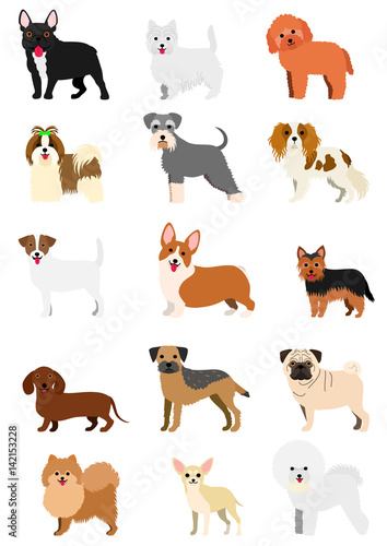 small dog breeds set