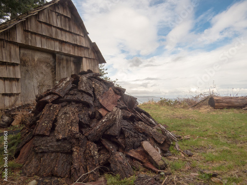 Abandoned wooden shed and pile of wood