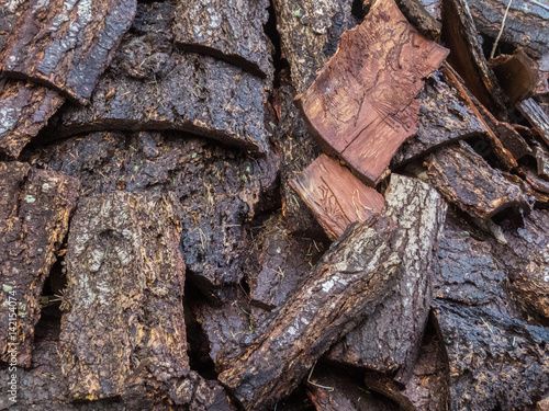 Pile of wood bark