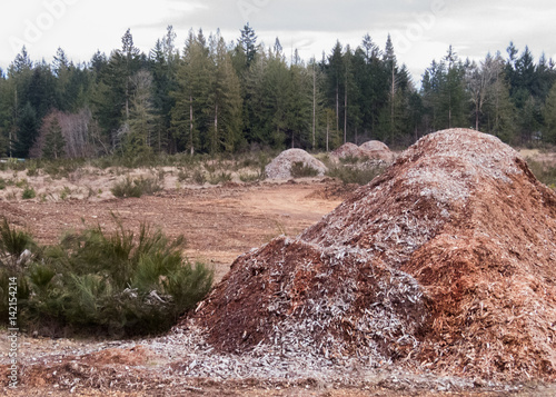 Wood multch photo