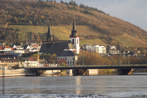 Rhine Valley, Germany: the town of Bingen, birthplace of Hildegard of Bingen