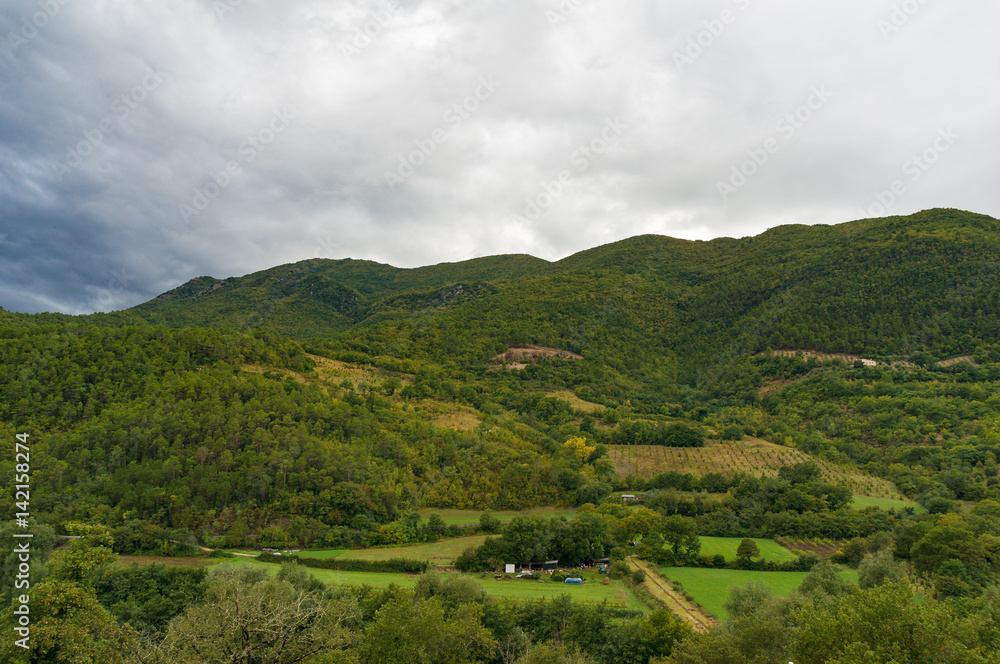 Mountain countryside panorama with green fields and forest