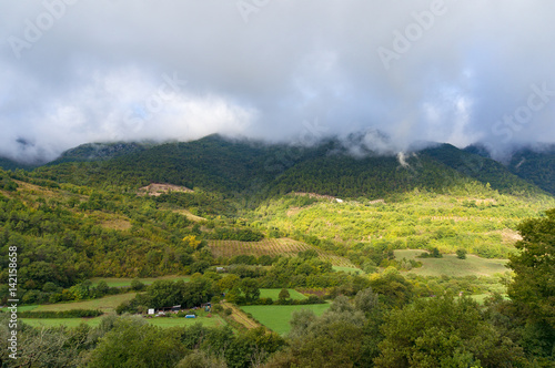 Mountain countryside panorama with green fields