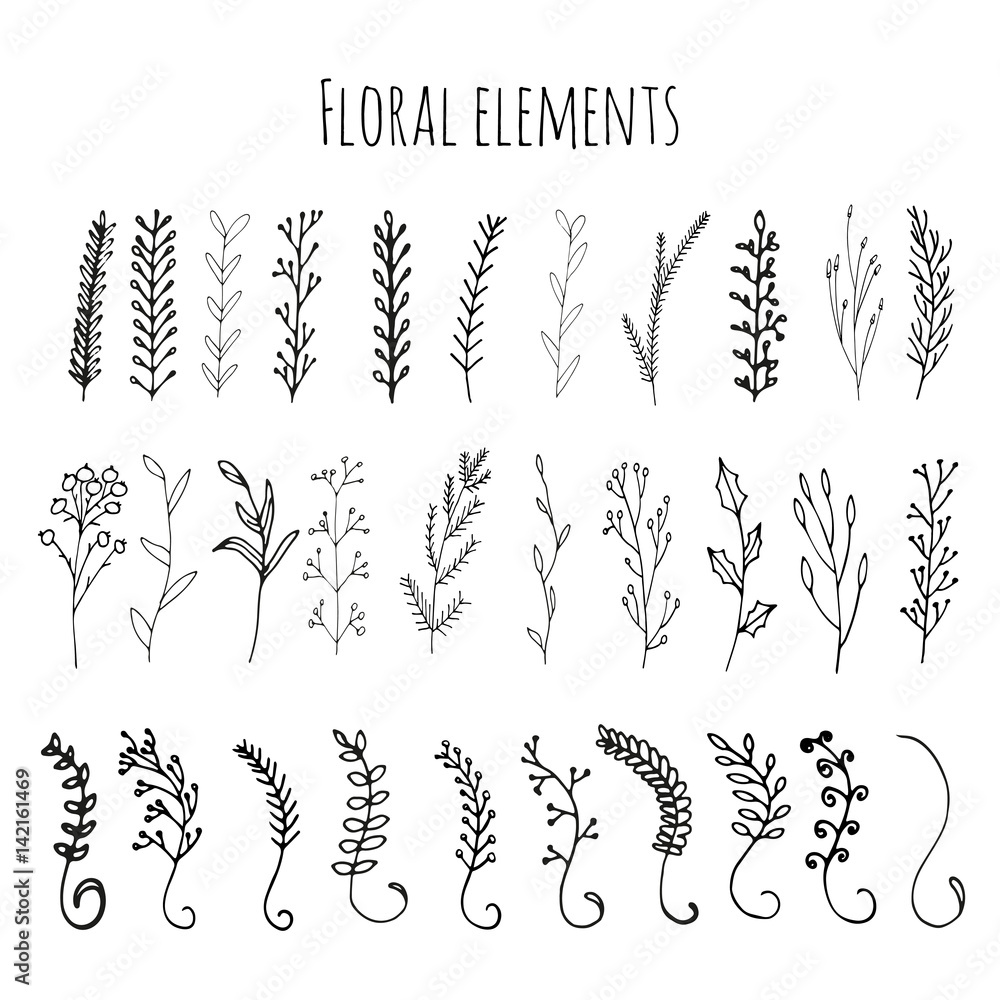 Fototapeta Collection of hand drawn vector florals and branches with leaves, flowers, berries. Modern sketch collection. Decorative elements for design