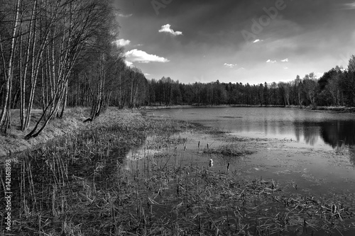 Fototapeta Naklejka Na Ścianę i Meble -  Kobiór