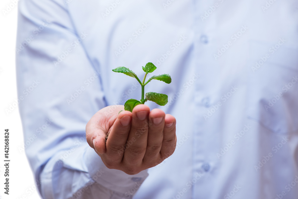 Man holding green seedling isolated on white Man holding green seedling isolated on white
