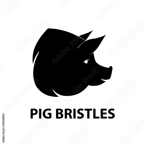 Pig bristles vector illustration