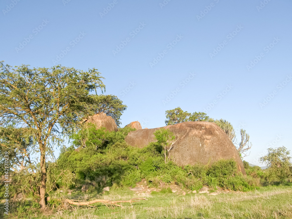 Huge field stone with trees and bushes in savanna against blue sky background. Serengeti National Park, Tanzania, Africa. 
