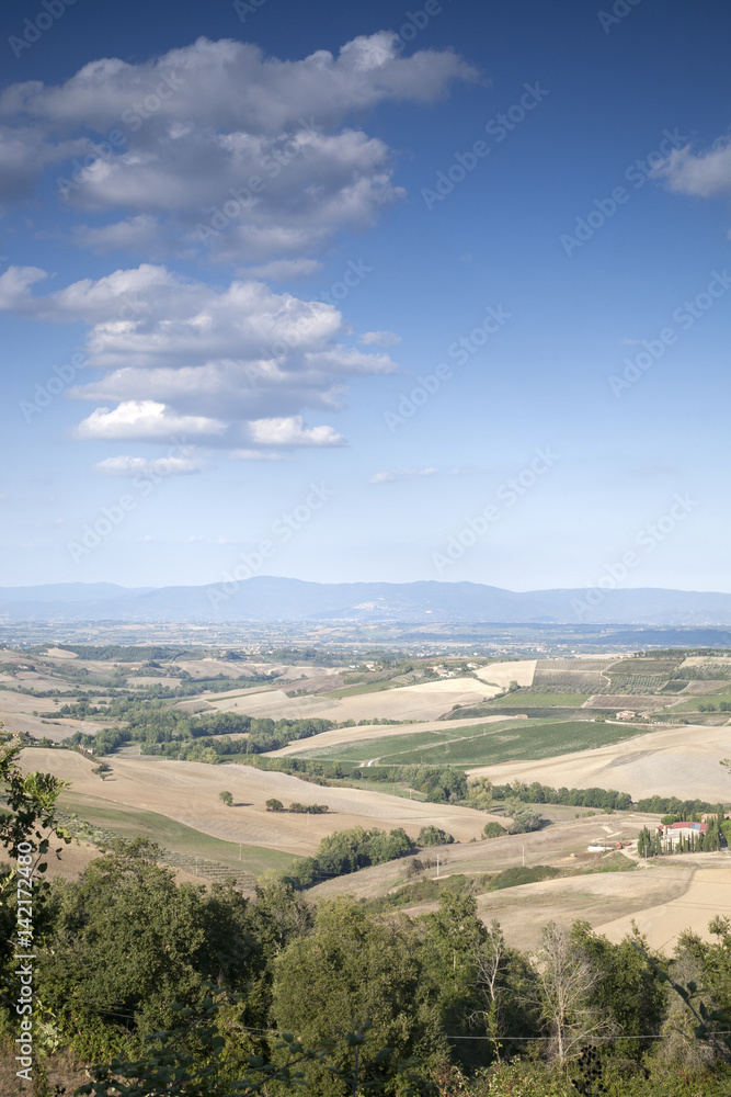 Countryside outside Montepulciano Village, Tuscany