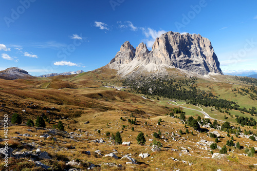 Sassolungo  Val Gardena  Dolomites  Italy. The Sassolungo alp standing over colorful fields during the summer season in Val Gardena  Trentino Alto Adige  Italy.