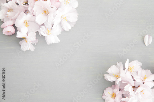 Light pink cherry blossoms on grey wood