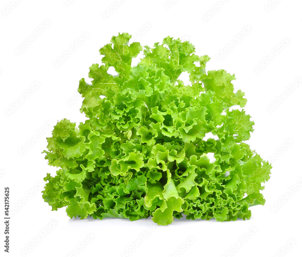 fresh green lettuce salad leaves isolated on white background. fresh green lettuce salad leaves isolated on white background.