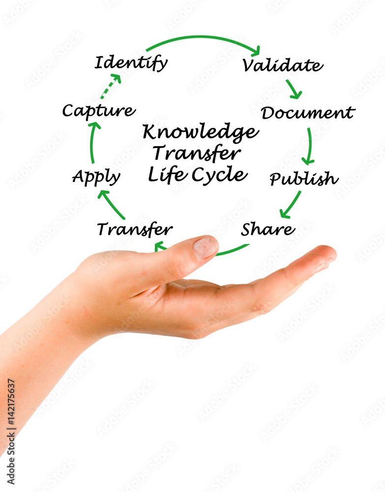 Knowledge Transfer Life Cycle Knowledge Transfer Life Cycle