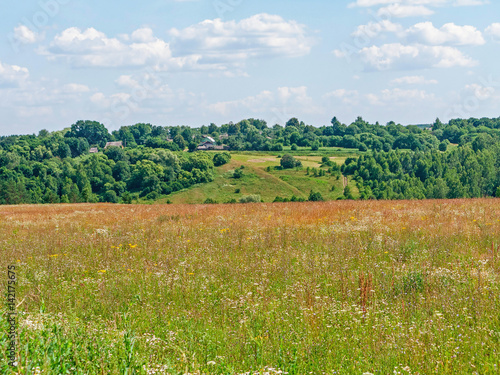 Beautiful sunny meadow before village. Kaluzhsky region, Russia. 