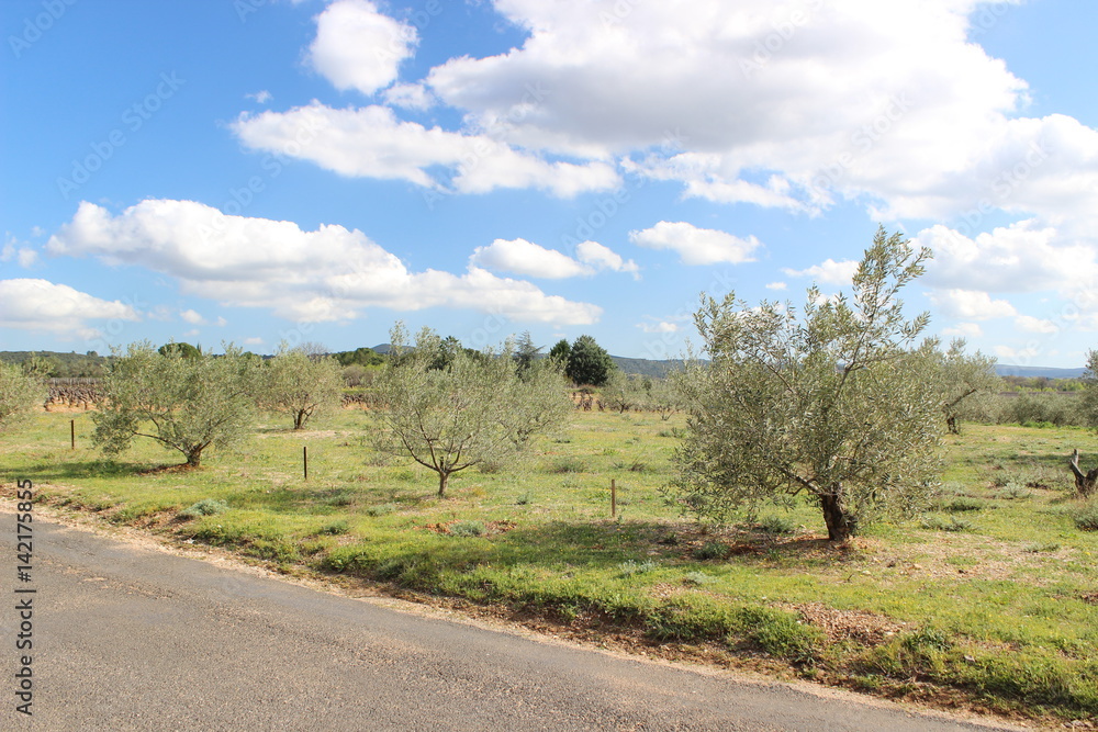 Balade dans les cévennes, languedoc roussillon, occitan, hérault