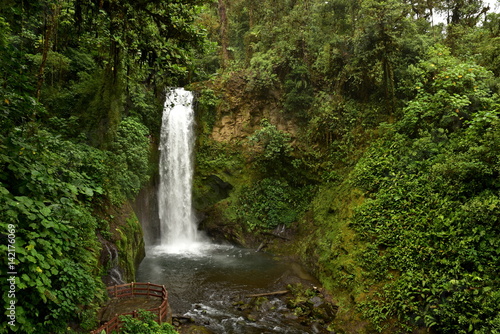 Waterfall in costarican tropical forest - La Paz Waterfall Gardens