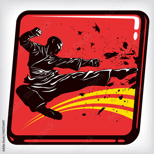 Dynamic icon of martial art karate