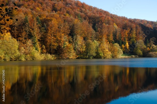 Autumn forest with reflection in the Swiss Lac de Lucelle (Lucelle Lake)