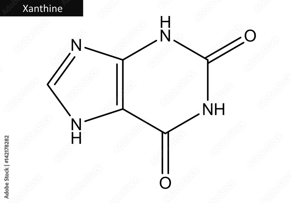 Molecular structure of Xantthine Molecular structure of Xantthine