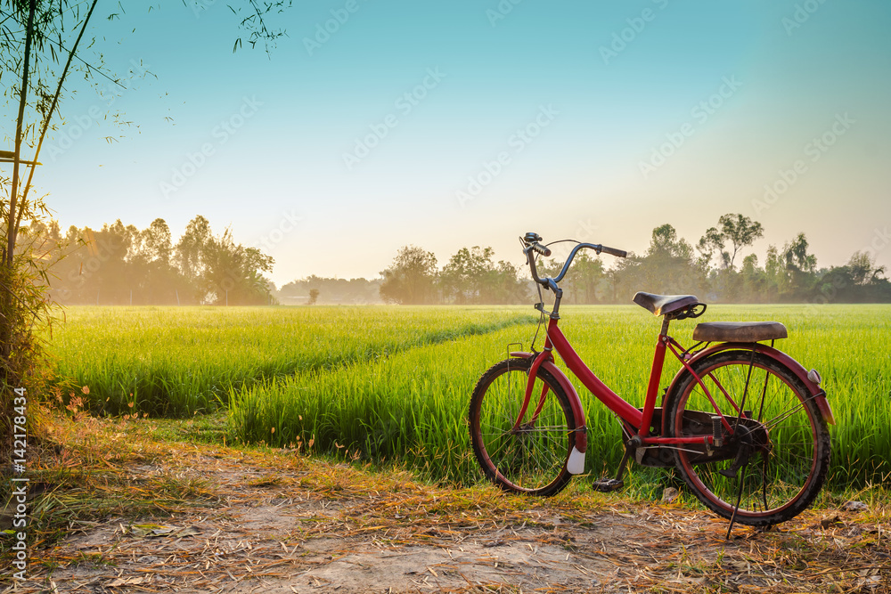 Red bicycle with rural view background