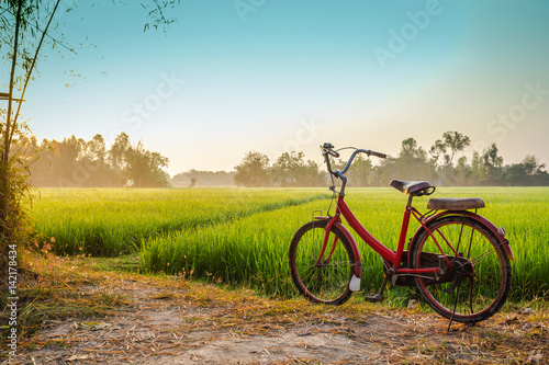 Red bicycle with rural view background © aireo