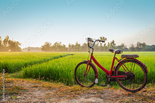 Red bicycle with rural view background
