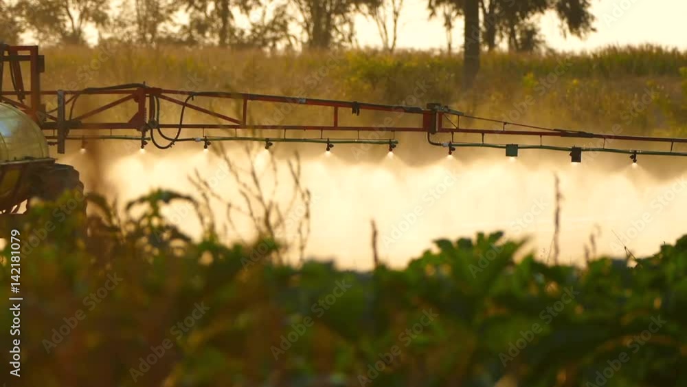 The tractor pulls a machine for spraying cucumbers. Summer sunset. The tractor pulls a machine for spraying cucumbers. Summer sunset.