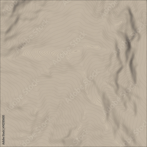 Vector abstract earth relief map. Generated conceptual elevation map.