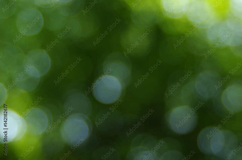Green blurred background Green blurred background