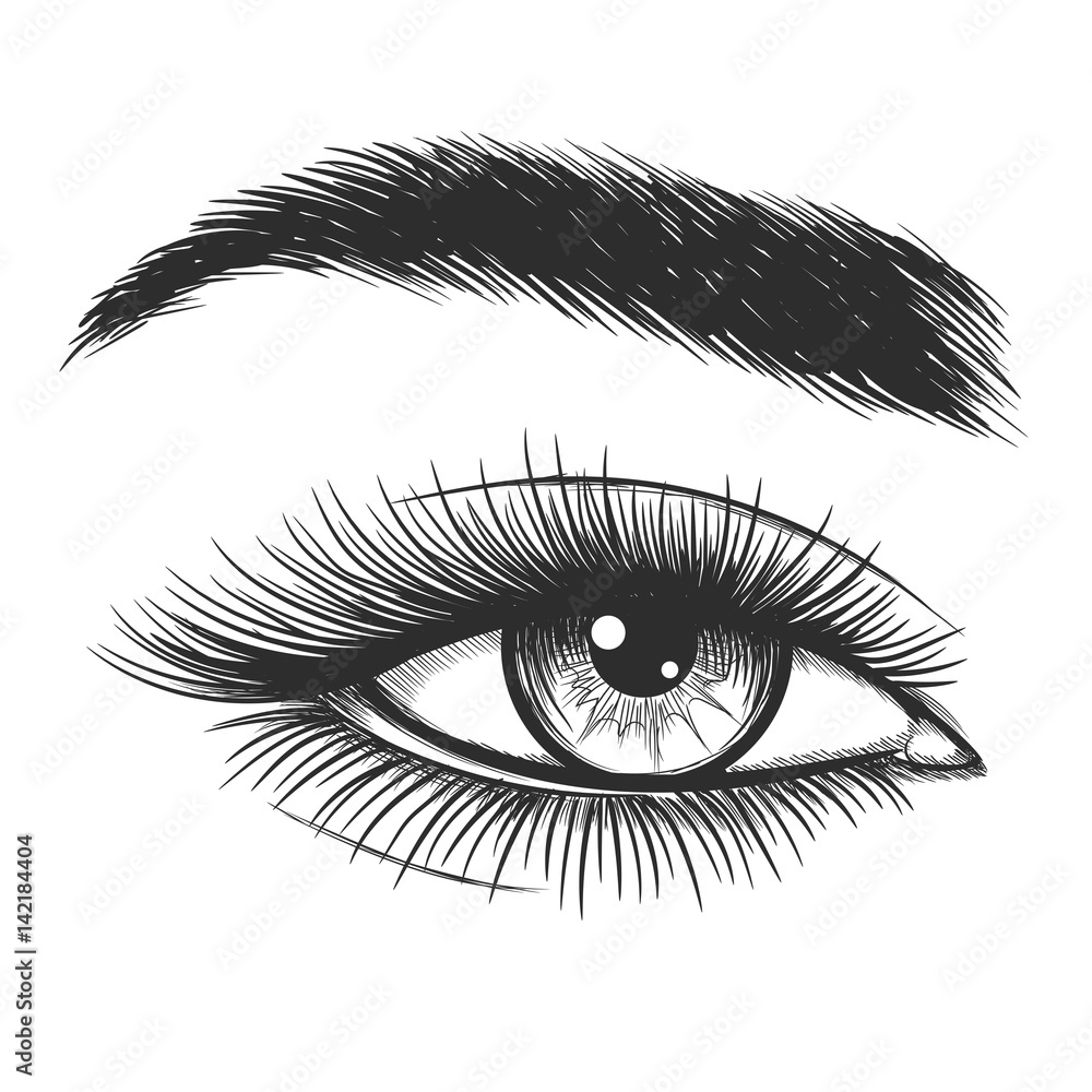 Beautiful lady eye hand drawn vector illustration. Closeup woman
