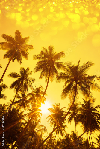 Palm trees silhouettes at sunset with party glitter bokeh overlay effect
