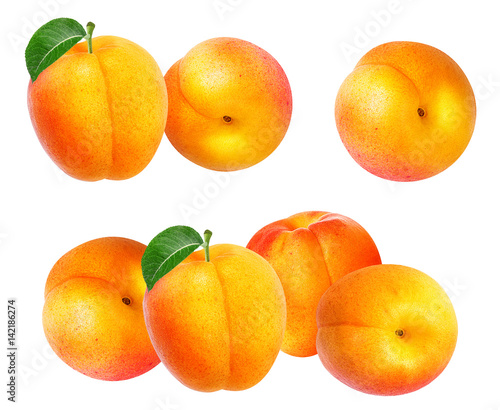 apricot isolated on white