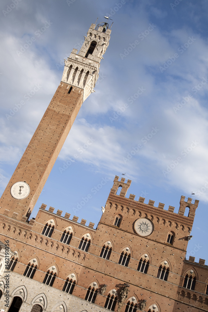 Fototapeta premium Torre del Mangia Tower; City Hall, Piazza del Campo Square, Siena