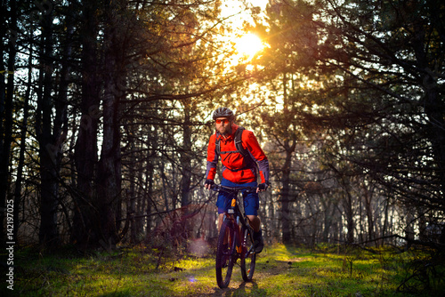 Cyclist Riding the Bike on the Trail in Beautiful Fairy Pine Forest. Adventure and Travel Concept. © Maksym Protsenko