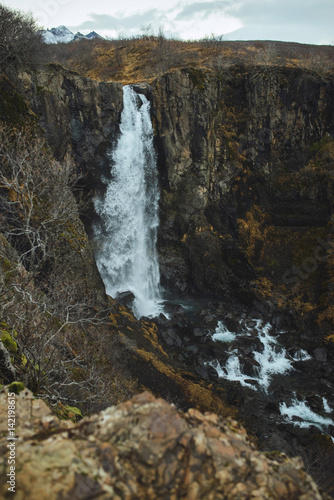 Majestic Waterfall in Iceland