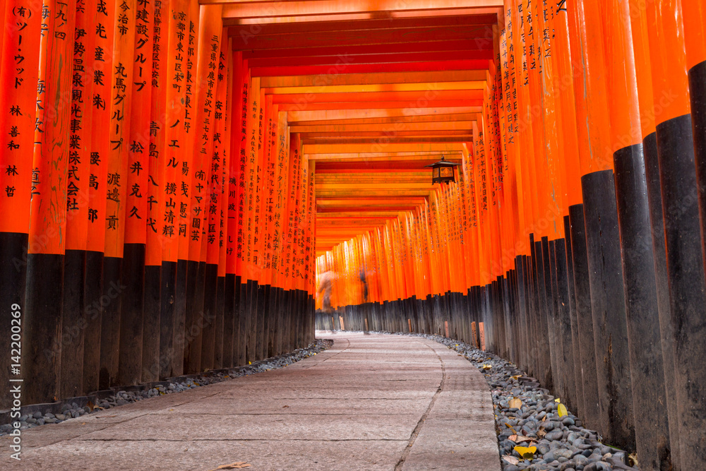 Fototapeta premium Tysiące bram torii w świątyni Fushimi Inari Taisha w Kioto w Japonii